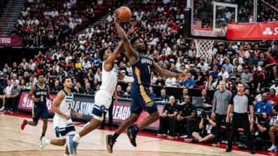 new orleans pelicans vs timberwolves match player stats